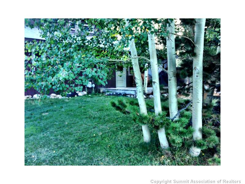 33 Big Elk Road Dillon, CO 80435 - Photo 12 of 20 Yard/Garden.