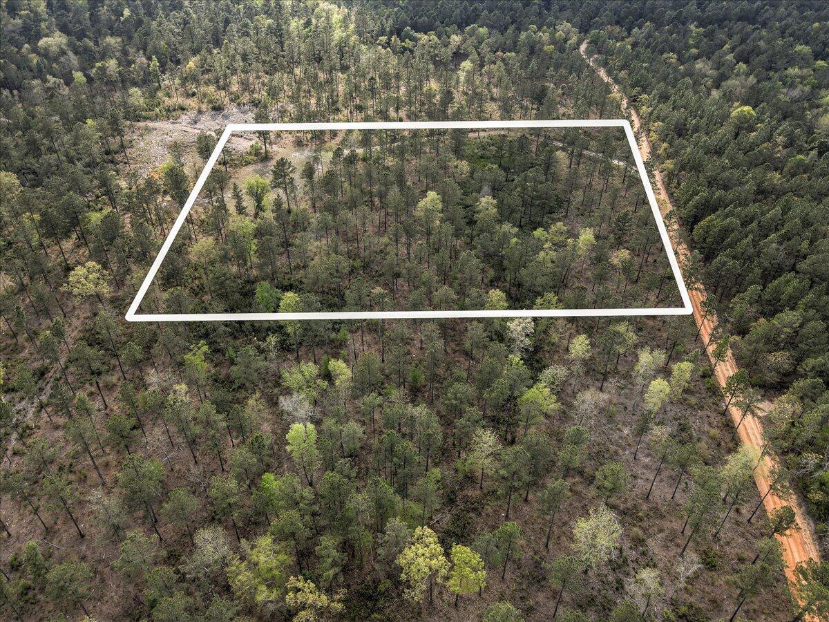 0 Deer Run Road, Unit E Williston, SC 29853 - Photo 6 of 15