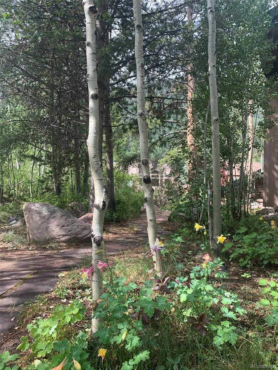 5148 Gore Circle Vail, CO 81657 - Photo 14 of 22 a view of a forest with trees