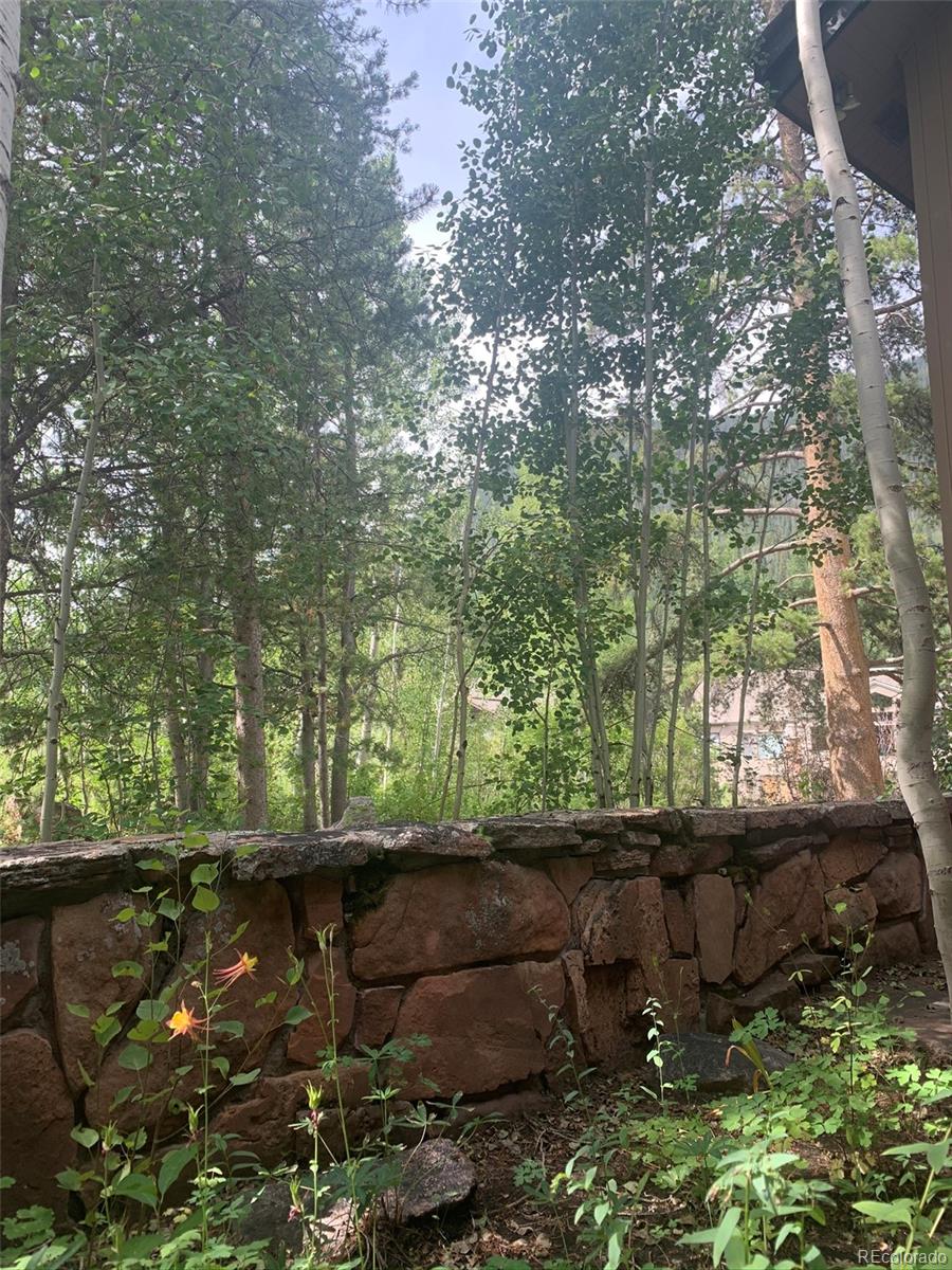 5148 Gore Circle Vail, CO 81657 - Photo 15 of 22 a view of a tree with a yard