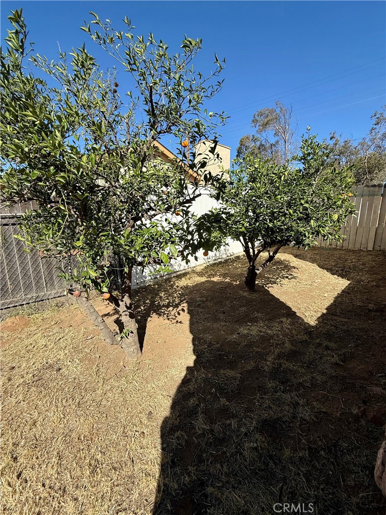 9920 Jurupa Road Jurupa Valley, CA 92509 - Photo 11 of 13 a view of a tree with a yard