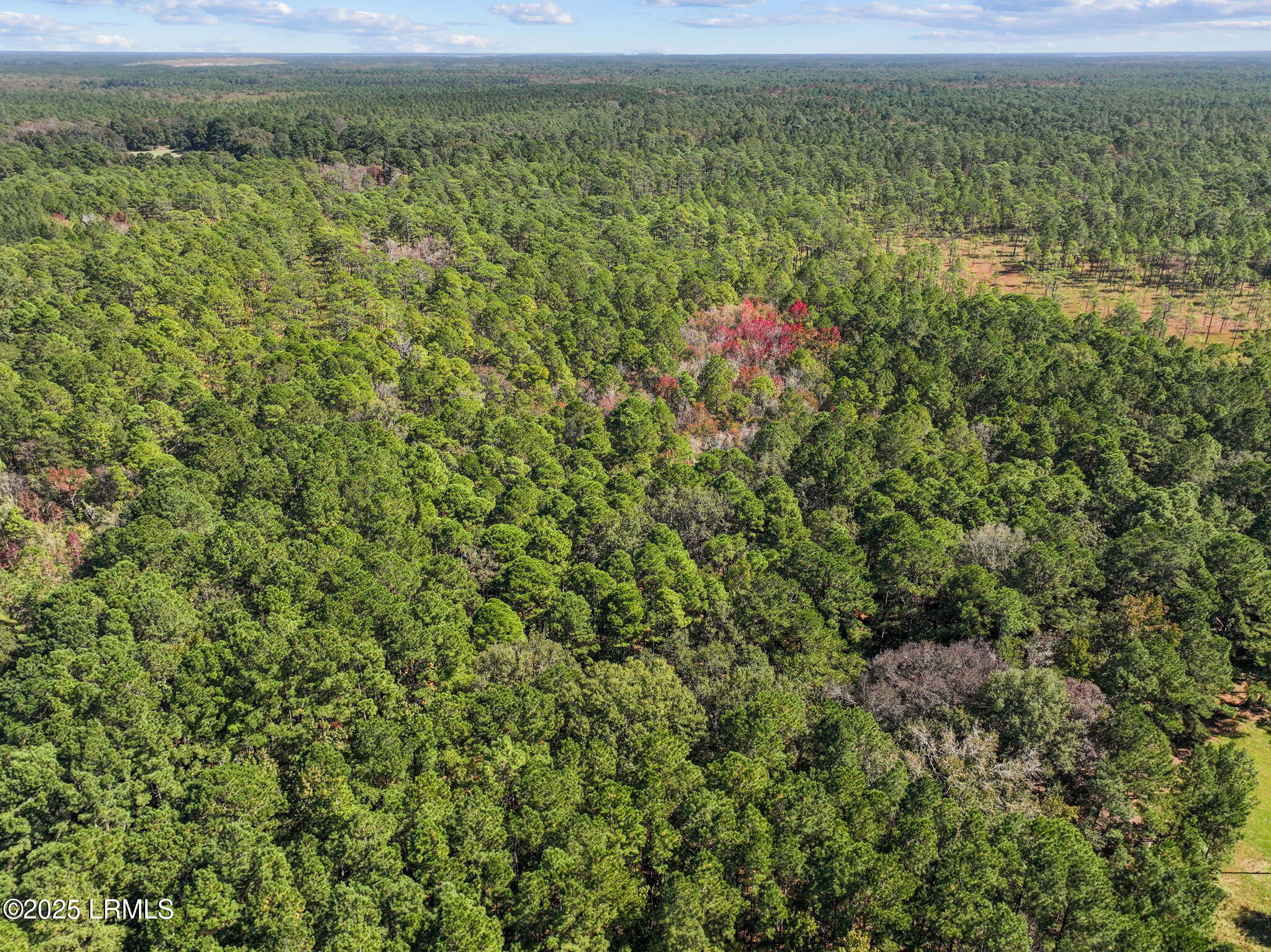 5156 Jasper Station Road Ridgeland, SC 29936 - Photo 14 of 14 8-web-or-mls-DJI_20251022134327_0075_D (