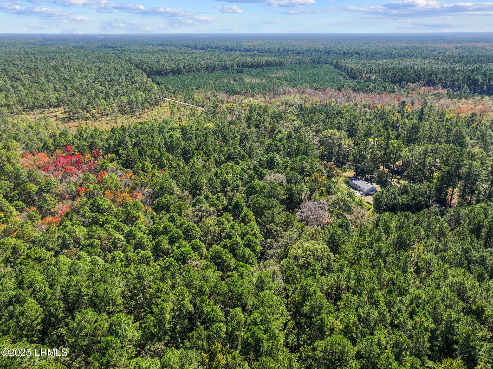 5156 Jasper Station Road Ridgeland, SC 29936 - Photo 3 of 14 2-web-or-mls-DJI_20251022134344_0076_D