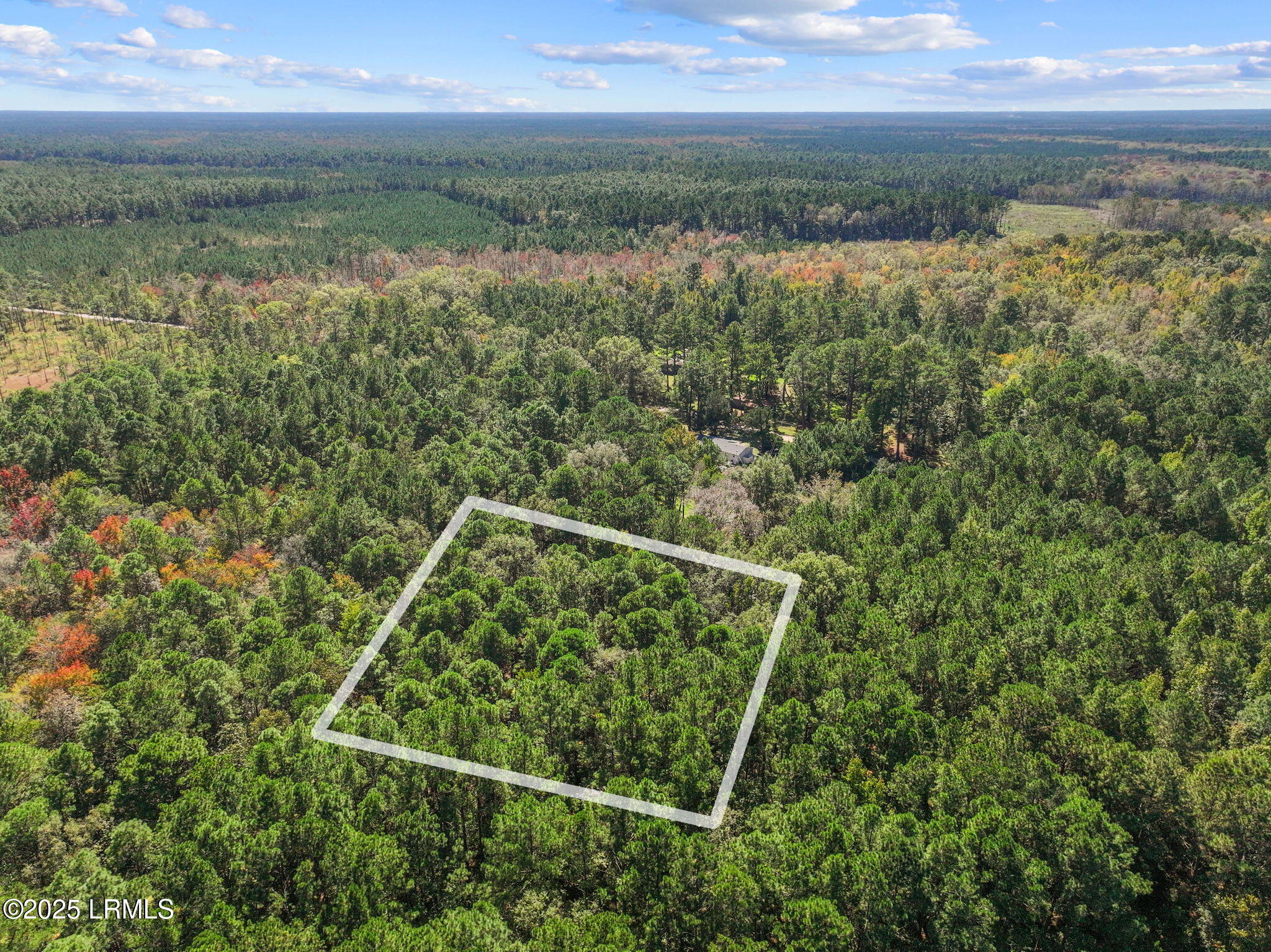 5156 Jasper Station Road Ridgeland, SC 29936 - Photo 4 of 14 2