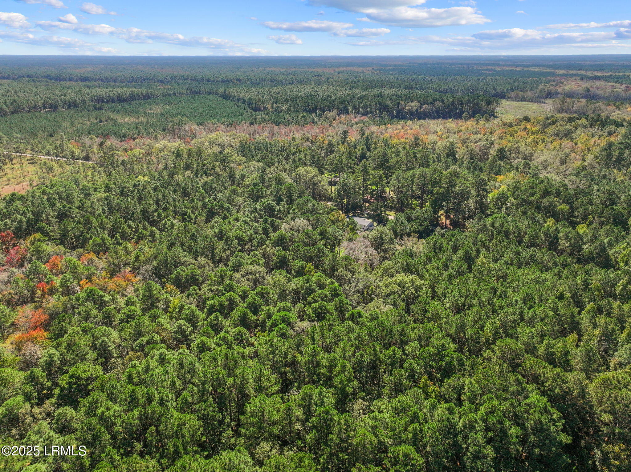 5156 Jasper Station Road Ridgeland, SC 29936 - Photo 5 of 14 3-web-or-mls-DJI_20251022134354_0077_D