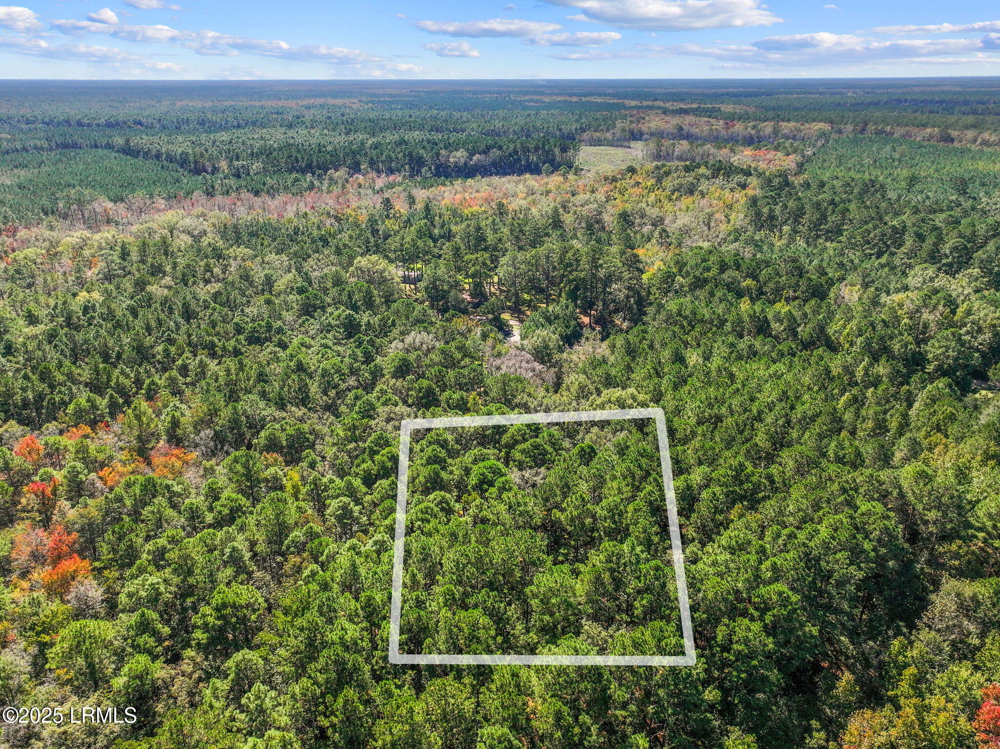 5156 Jasper Station Road Ridgeland, SC 29936 - Photo 6 of 14 3