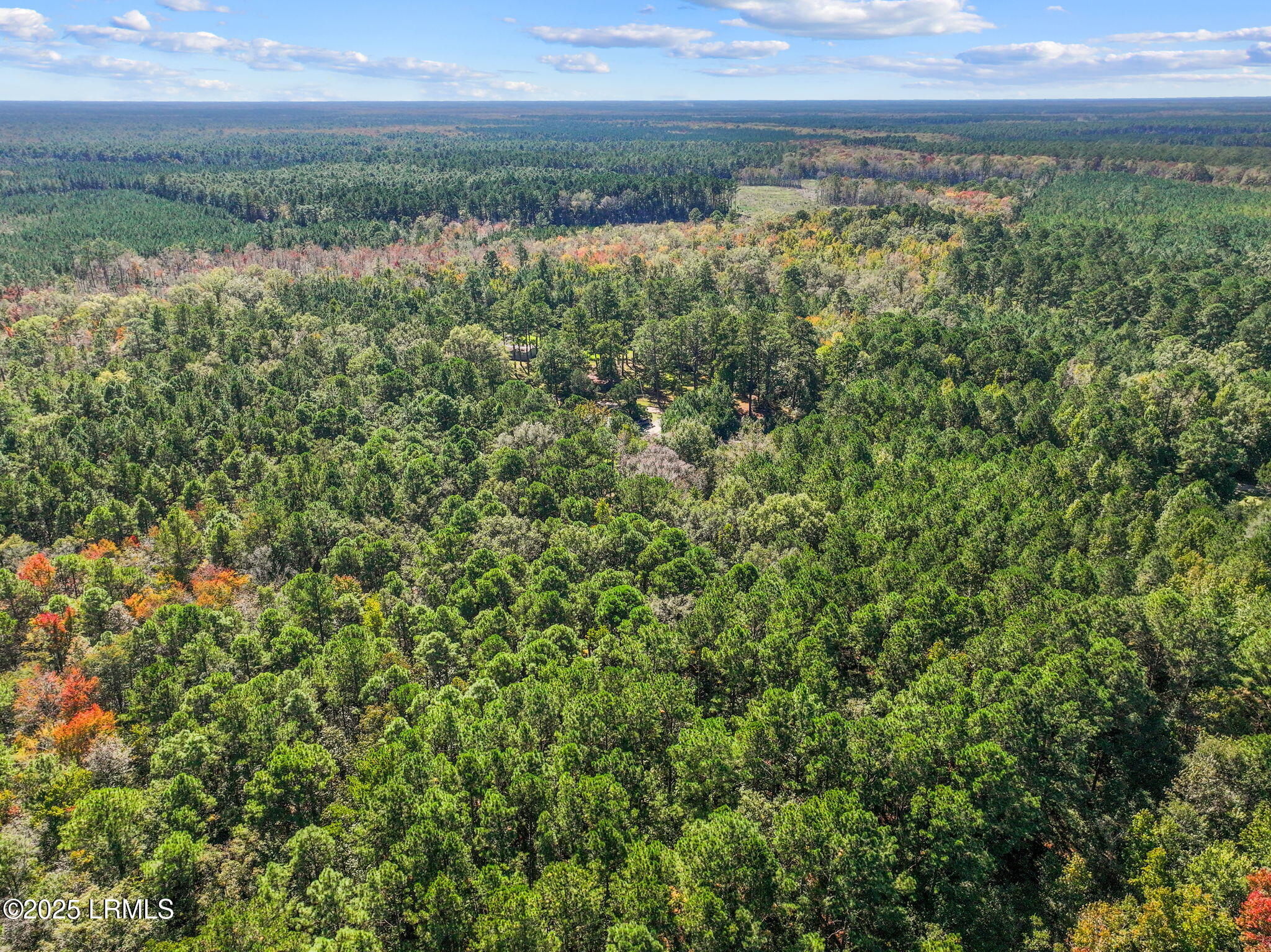 5156 Jasper Station Road Ridgeland, SC 29936 - Photo 7 of 14 4-web-or-mls-DJI_20251022134403_0078_D