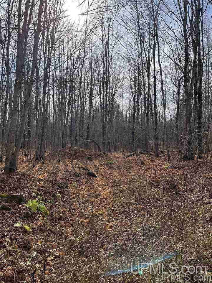 6978 W Coffee Road Montreal, WI 54550 - Photo 15 of 48