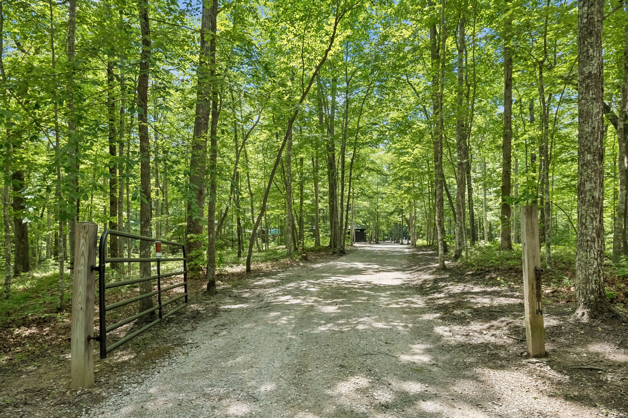 340 Doe Ridge Road Oneida, TN 37841 - Photo 3 of 99