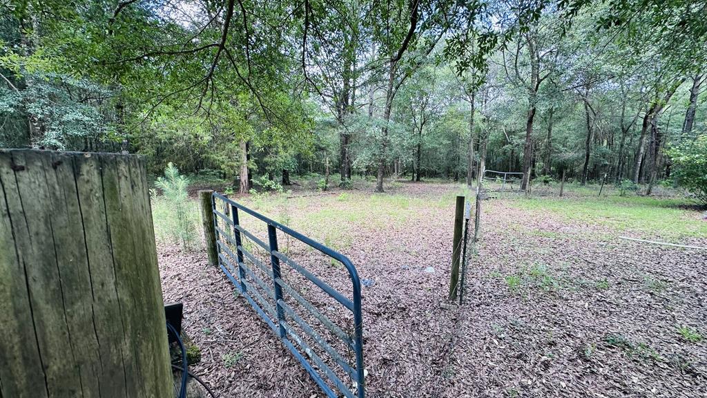 17639 North Creek Road Florala, AL 36442 - Photo 17 of 40
