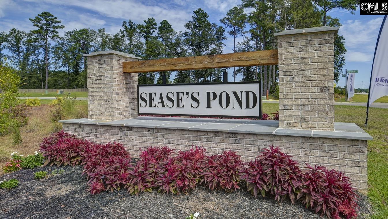 209 Ruby Prince Road Gilbert, SC 29054 - Photo 38 of 38