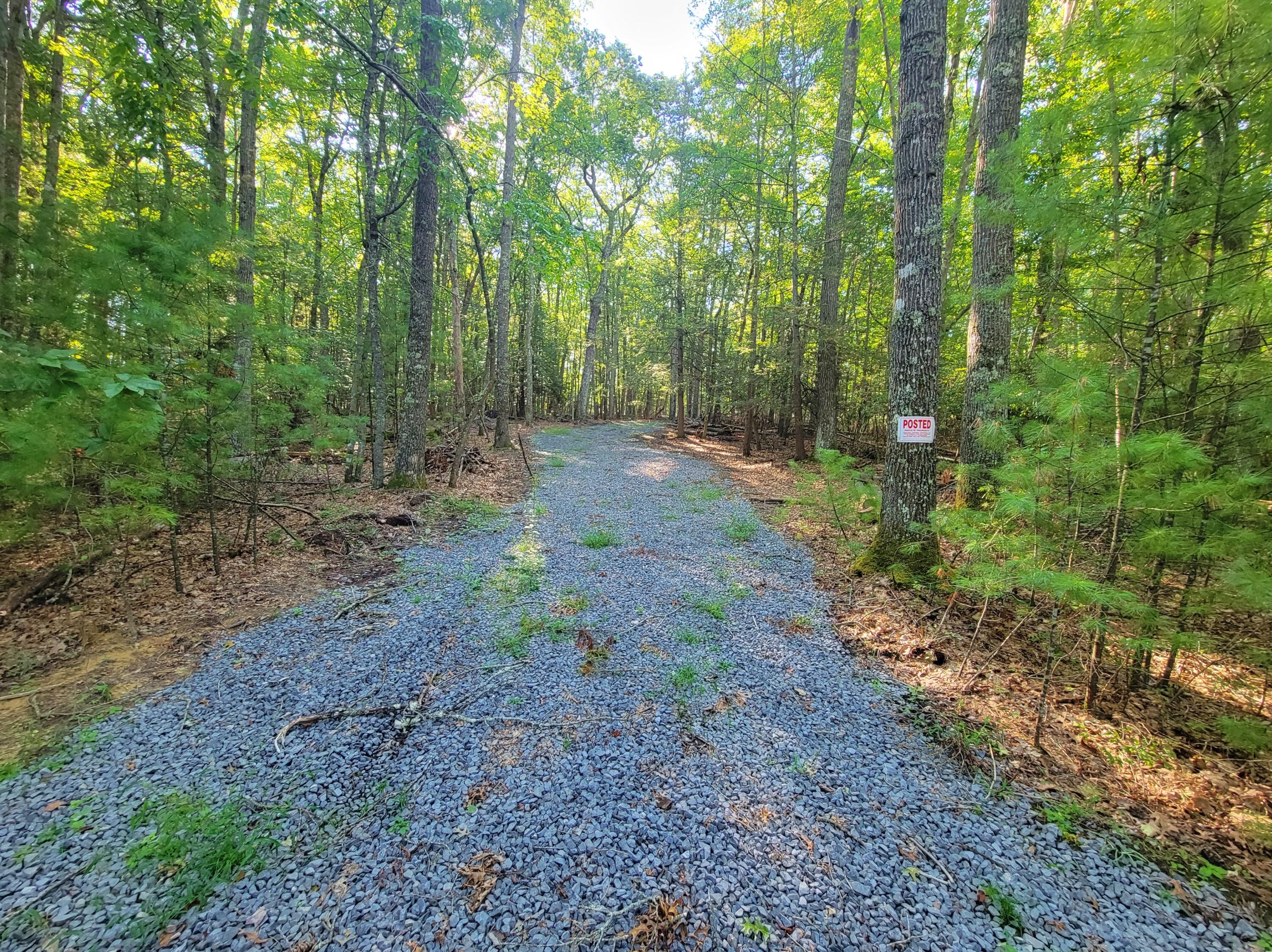 Lot 14 & 15 Roses Way Lewisburg, WV 24901 - Photo 5 of 15 Gallery Image 5