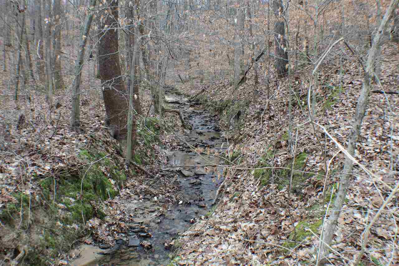 5606 Forgy Mill Road Dunmor, KY 42339 - Photo 20 of 28 Gallery Image 20