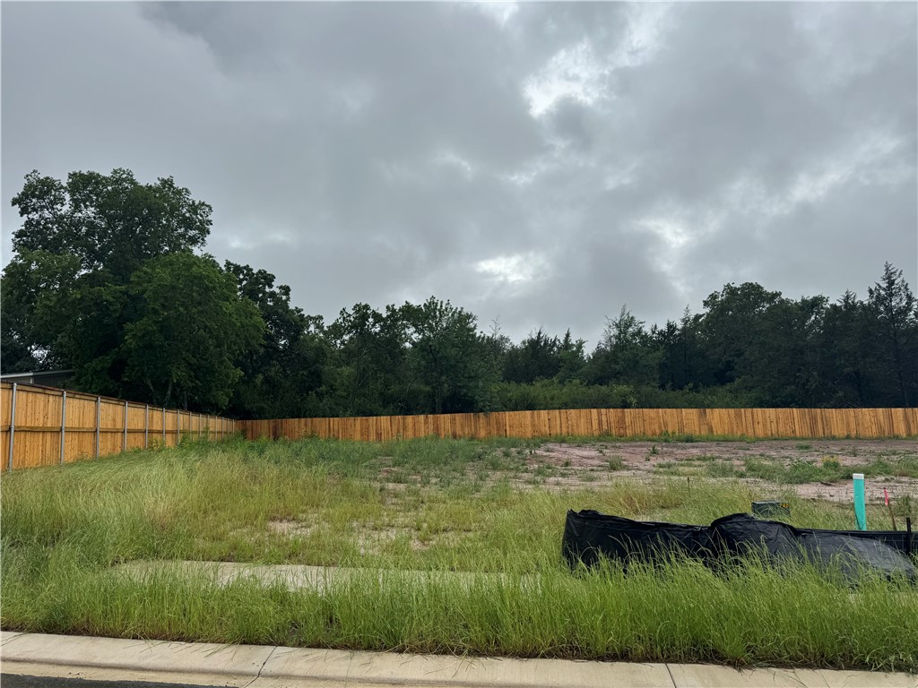 1629 Lucky Street Bryan, TX 77807 - Photo 13 of 13