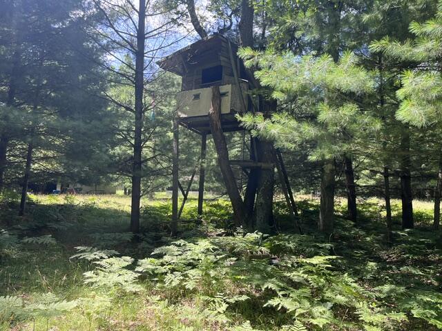 8858 East Manales Road Branch, MI 49402 - Photo 14 of 35 IMG_0622