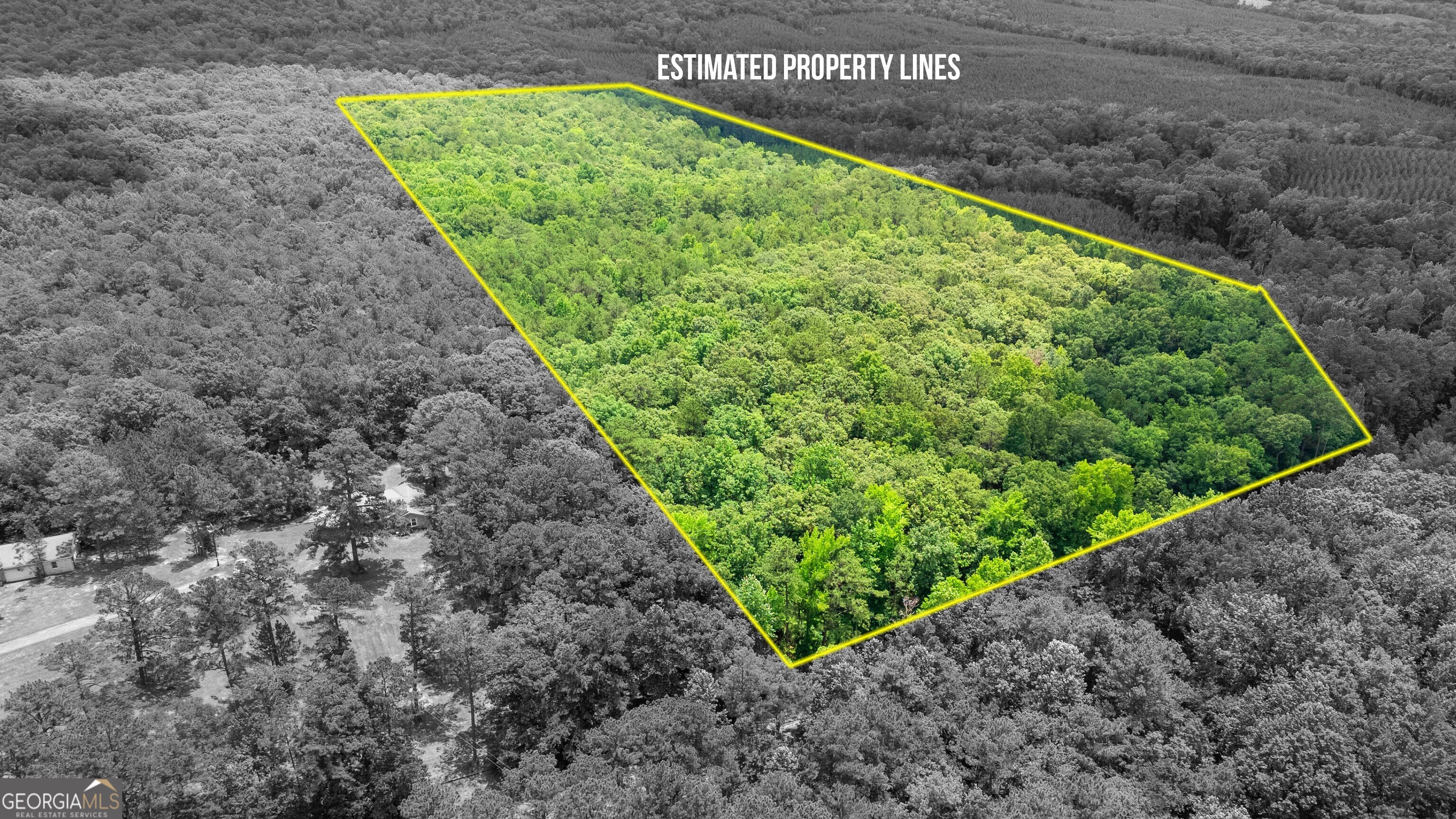 0 Pleasant Valley Road Thomaston, GA 30286 - Photo 4 of 20