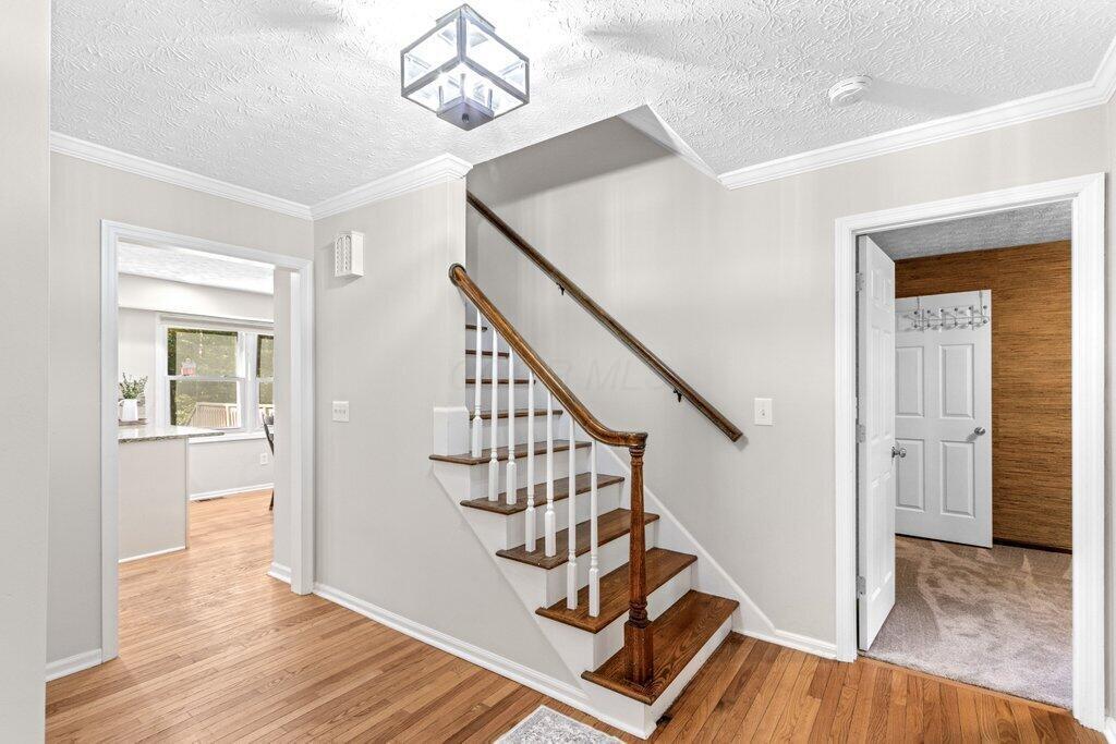 737 Autumn Branch Road Westerville, OH 43081 - Photo 19 of 43 737 Autumn Branch Road-23.jpg-SMALL