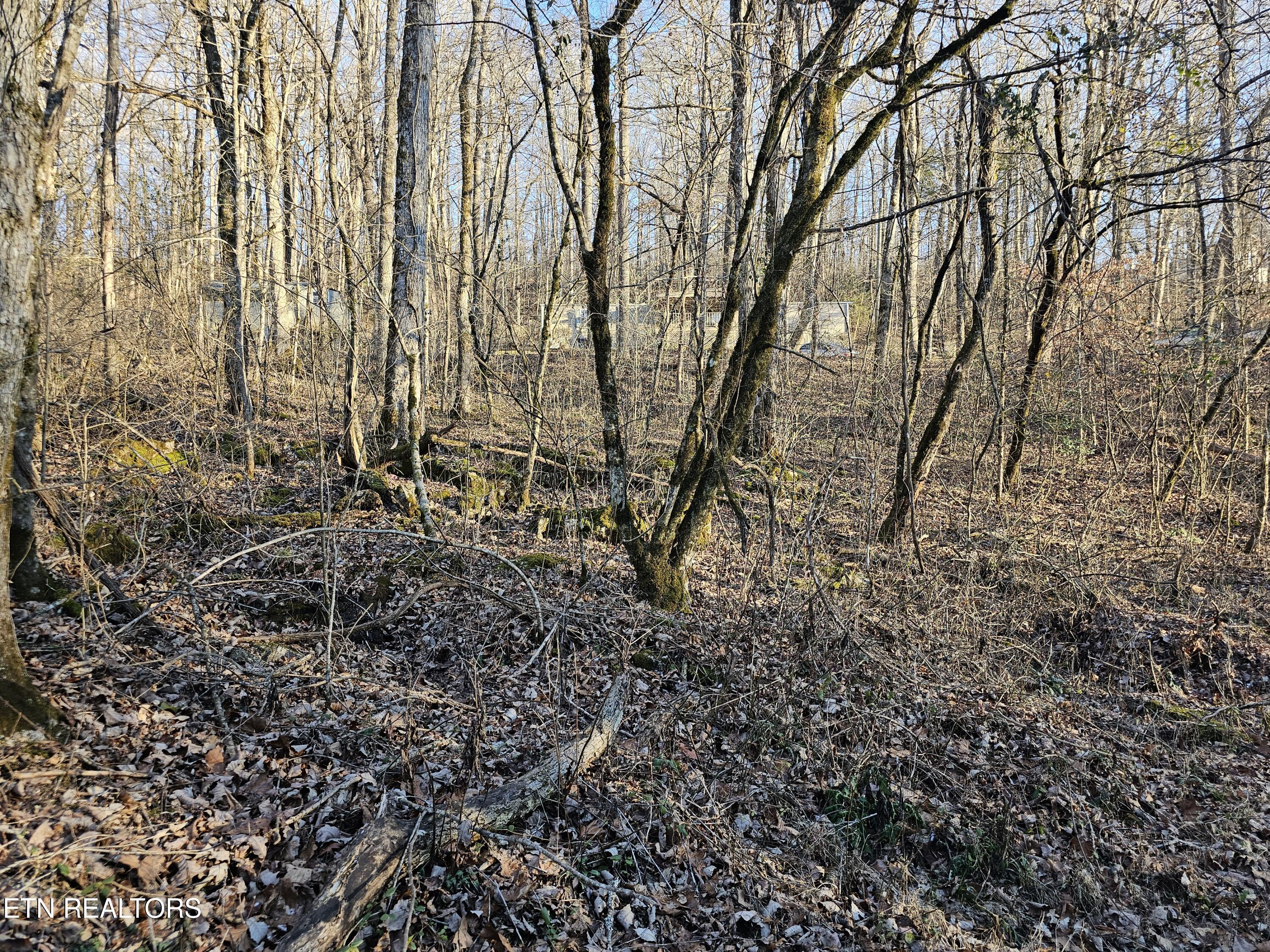 Blue Springs Road Speedwell, TN 37870 - Photo 5 of 6 20250109_163852