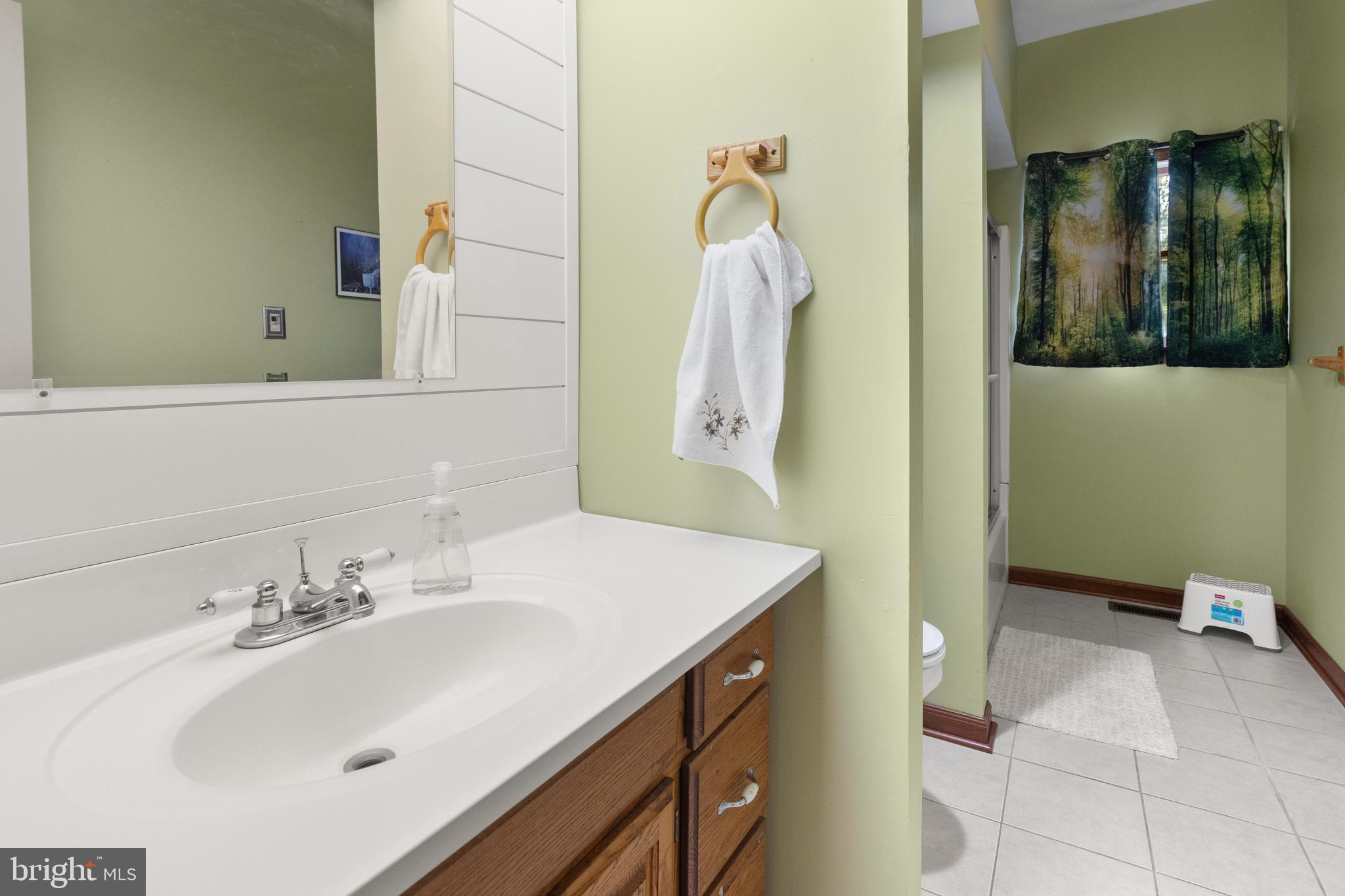 133 Roop Road Rising Sun, MD 21911 - Photo 17 of 58 a bathroom with a sink and a mirror