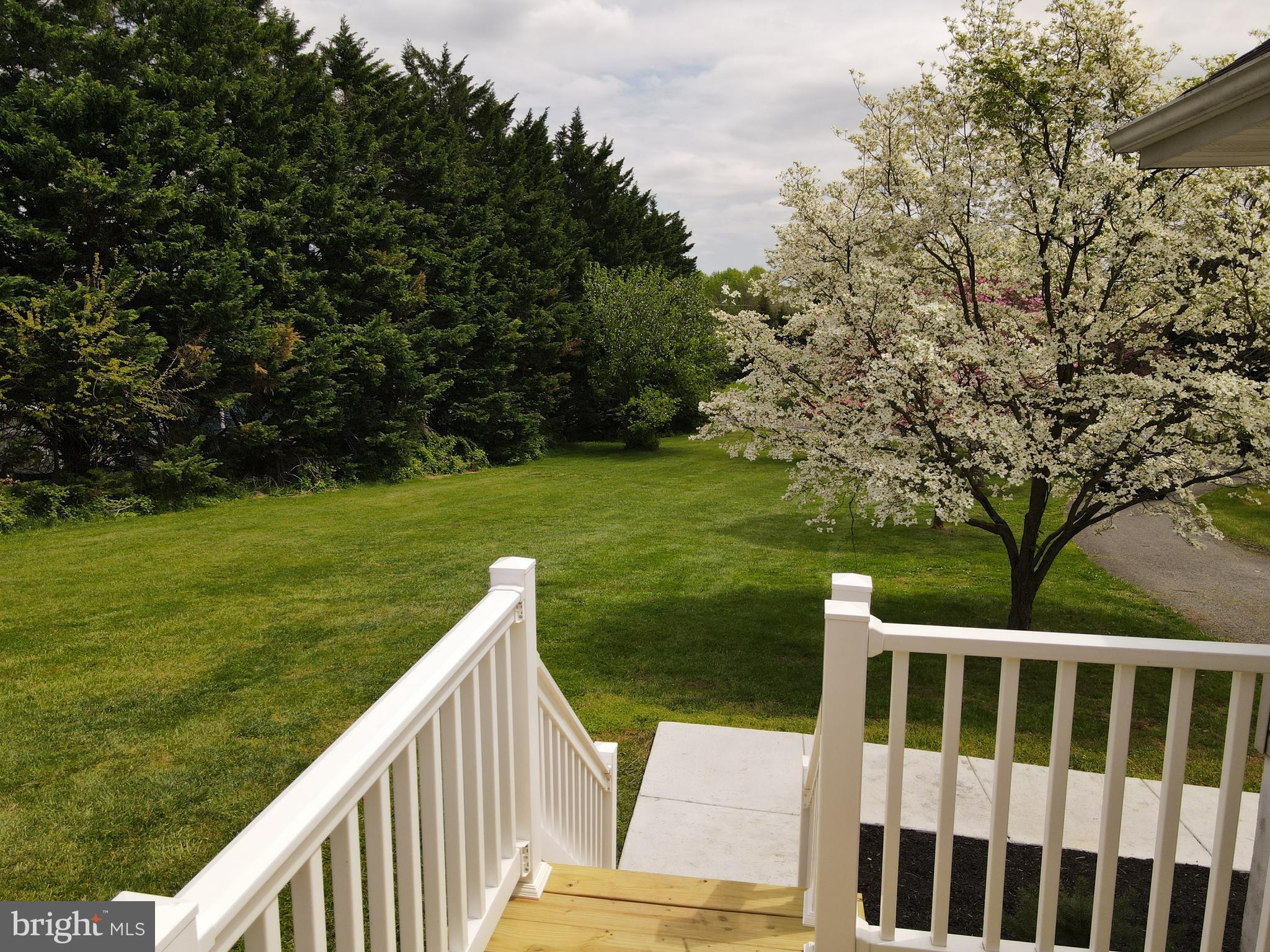 133 Roop Road Rising Sun, MD 21911 - Photo 48 of 58