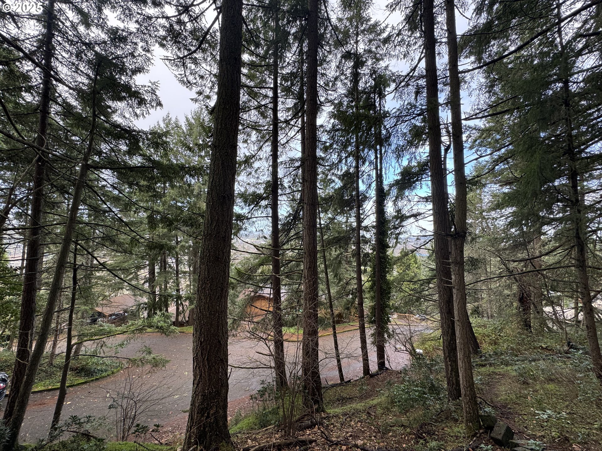 3605 Emerald Street Eugene, OR 97405 - Photo 2 of 10