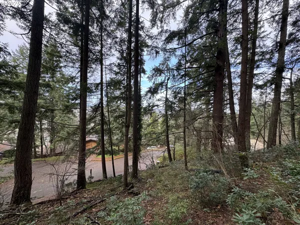 a view of outdoor space
