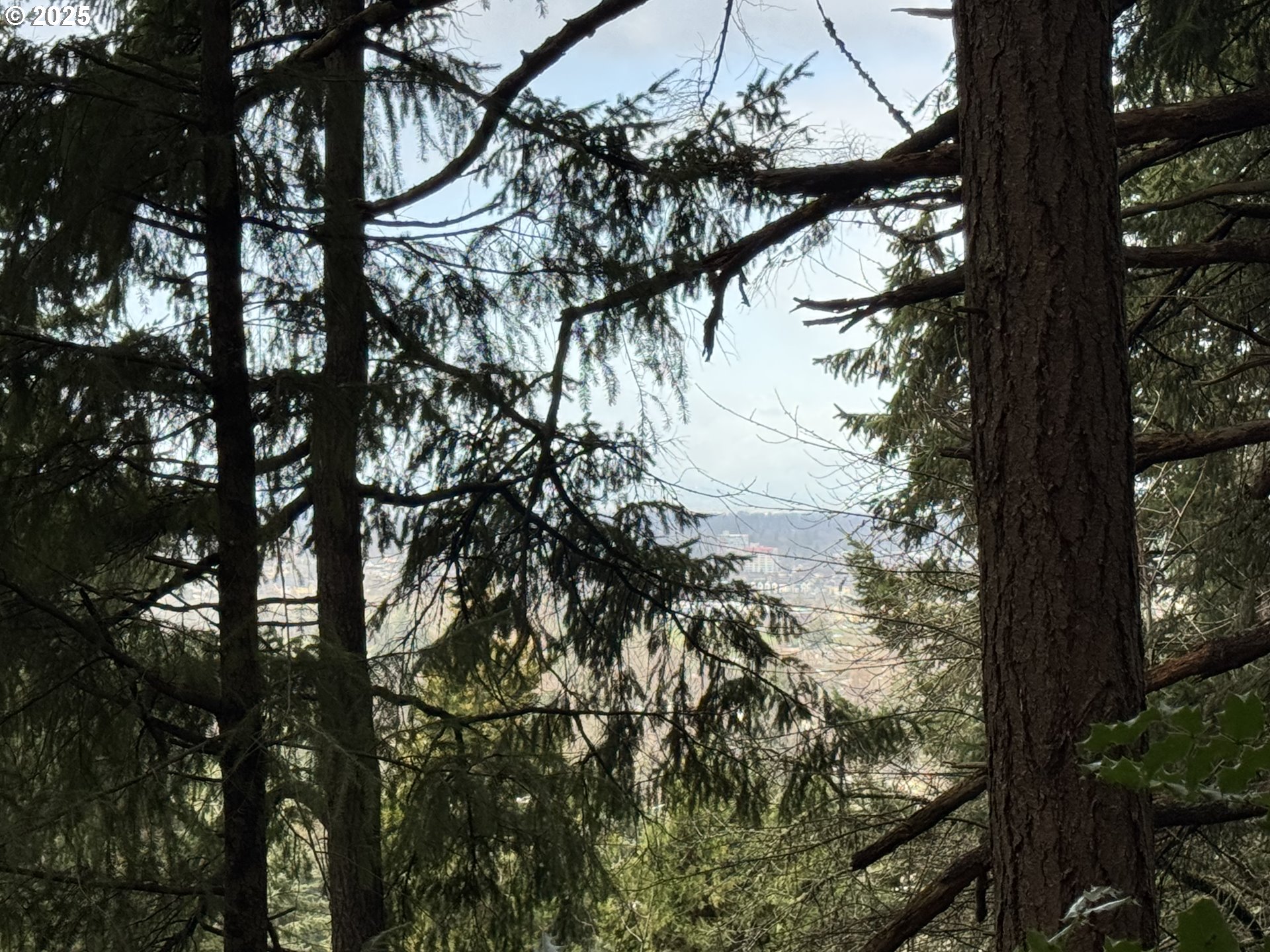 3605 Emerald Street Eugene, OR 97405 - Photo 5 of 10