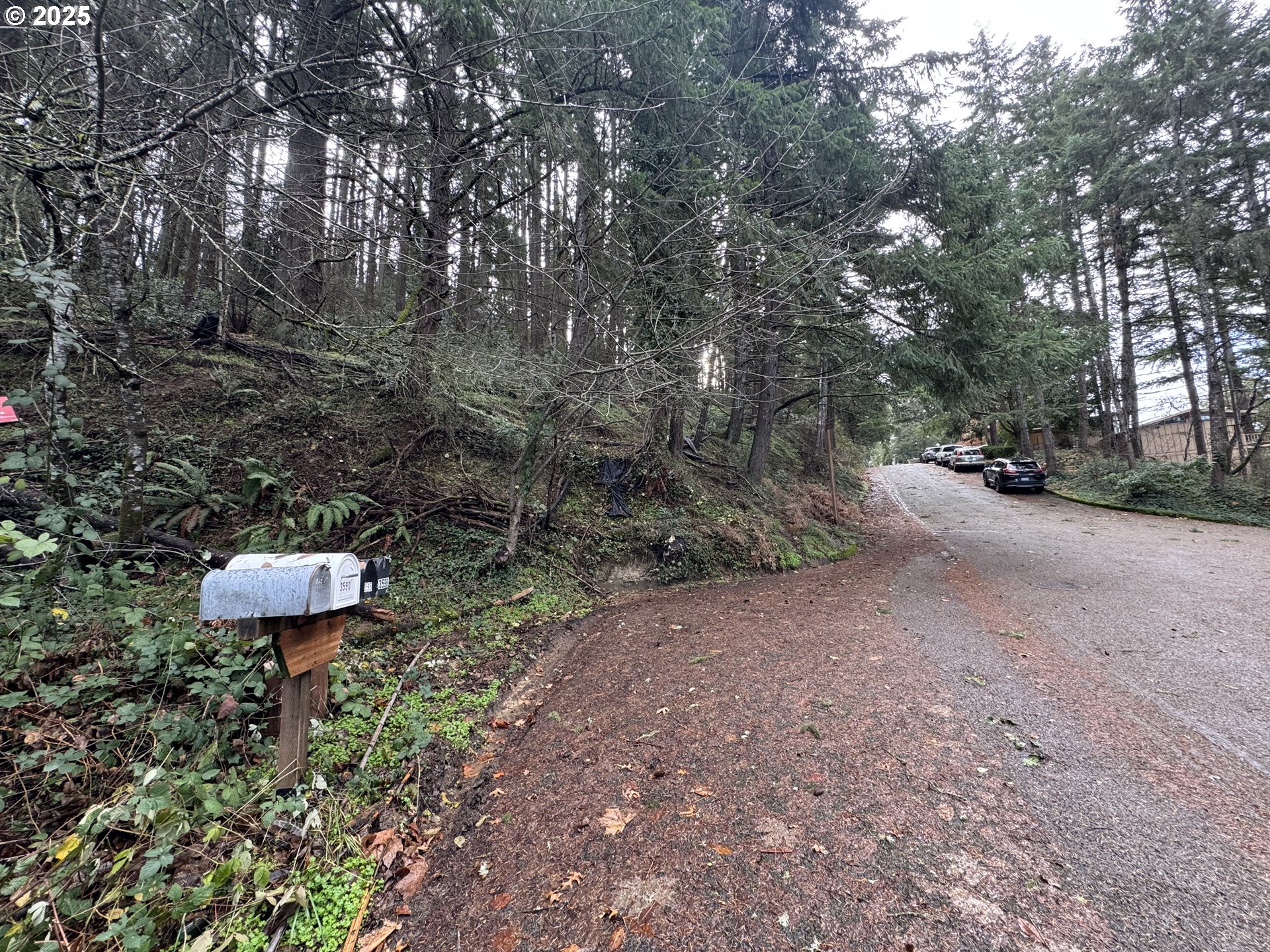 3605 Emerald Street Eugene, OR 97405 - Photo 7 of 10