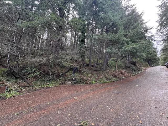 a view of outdoor space and yard