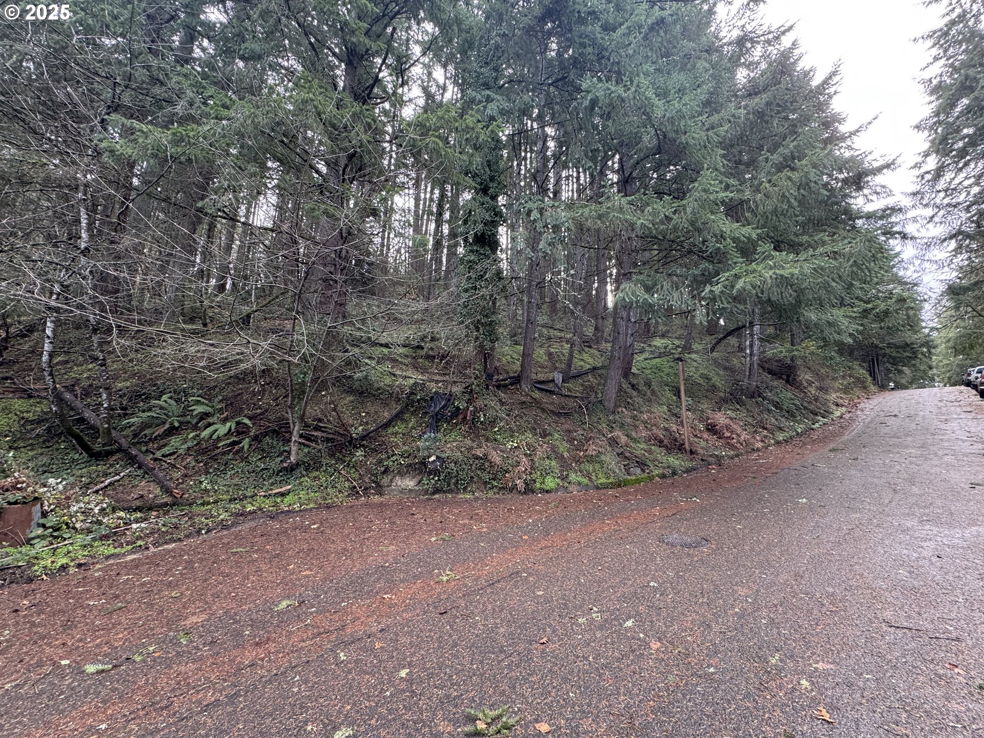 3605 Emerald Street Eugene, OR 97405 - Photo 8 of 10