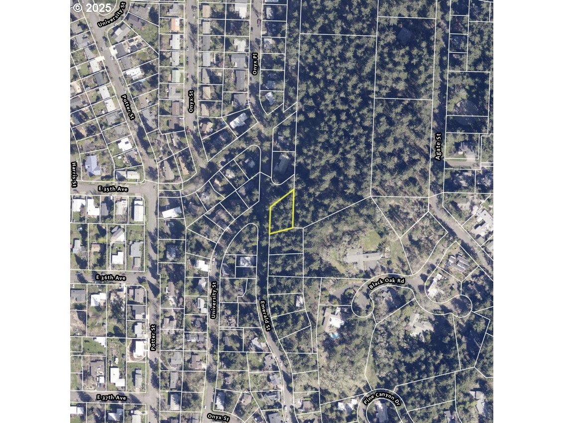 3605 Emerald Street Eugene, OR 97405 - Photo 9 of 10