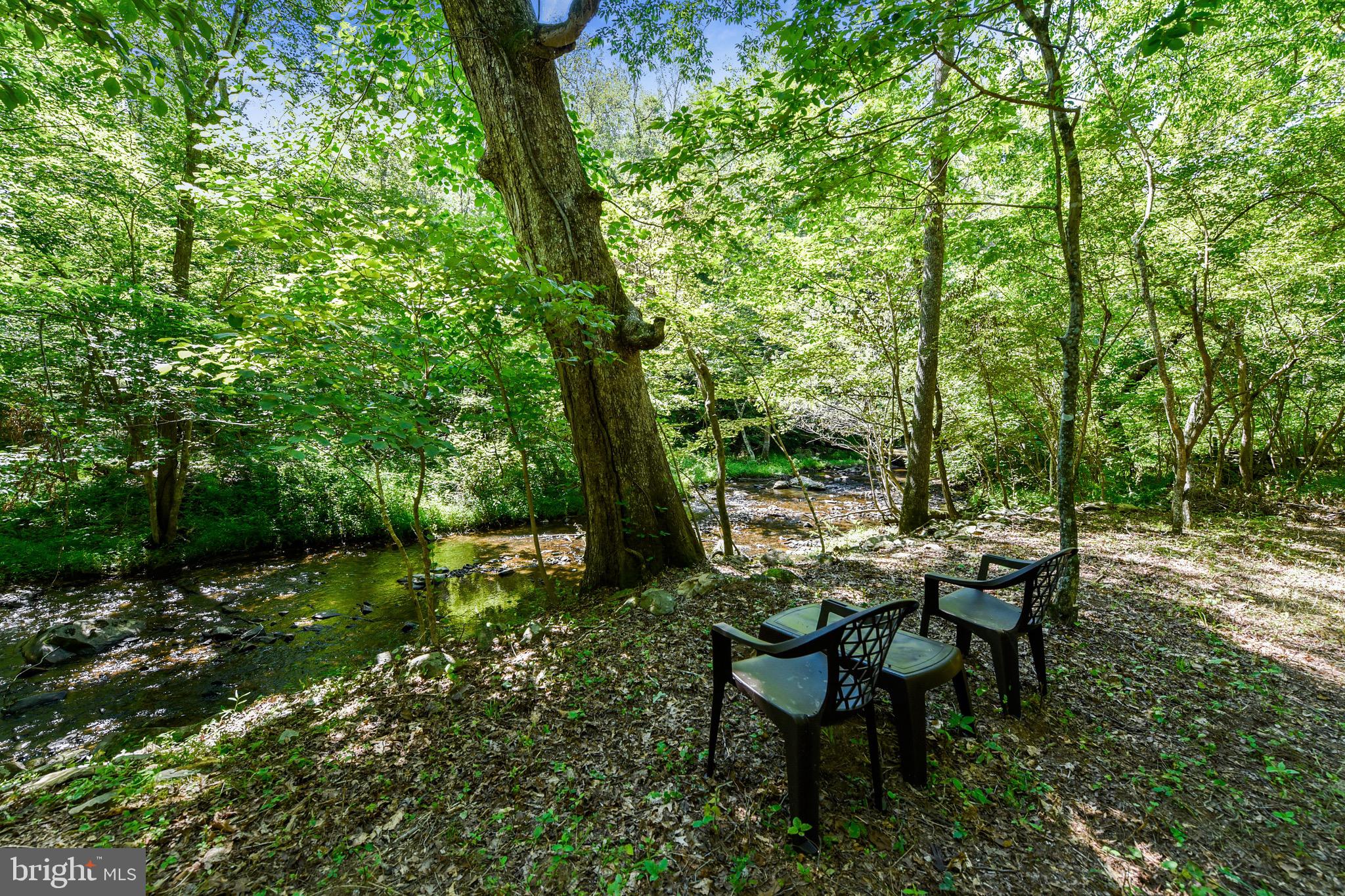 13485 Hume Road Hume, VA 22639 - Photo 16 of 60 Gallery Image 16