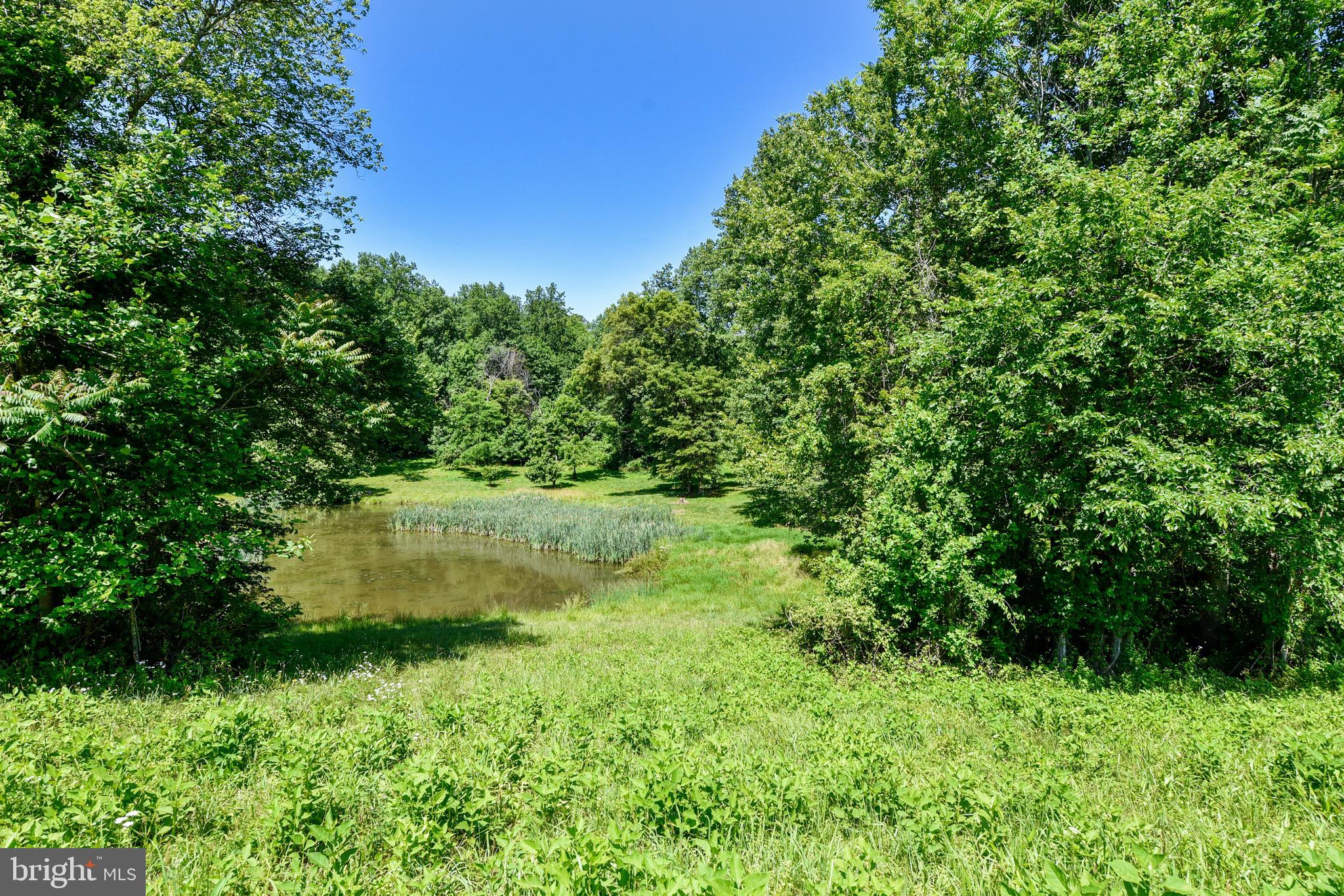 13485 Hume Road Hume, VA 22639 - Photo 17 of 60 Gallery Image 17