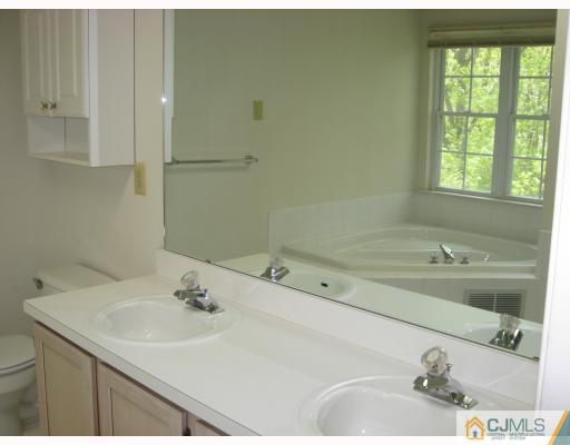 12 Timber Ridge Road North Brunswick, NJ 08902 - Photo 8 of 9 a bathroom with a sink and a bathtub