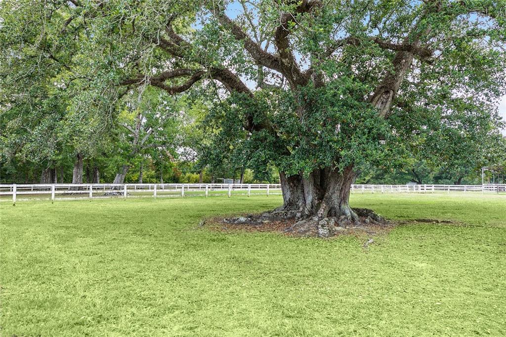 18472 Nelson Road Covington, LA 70435 - Photo 26 of 40