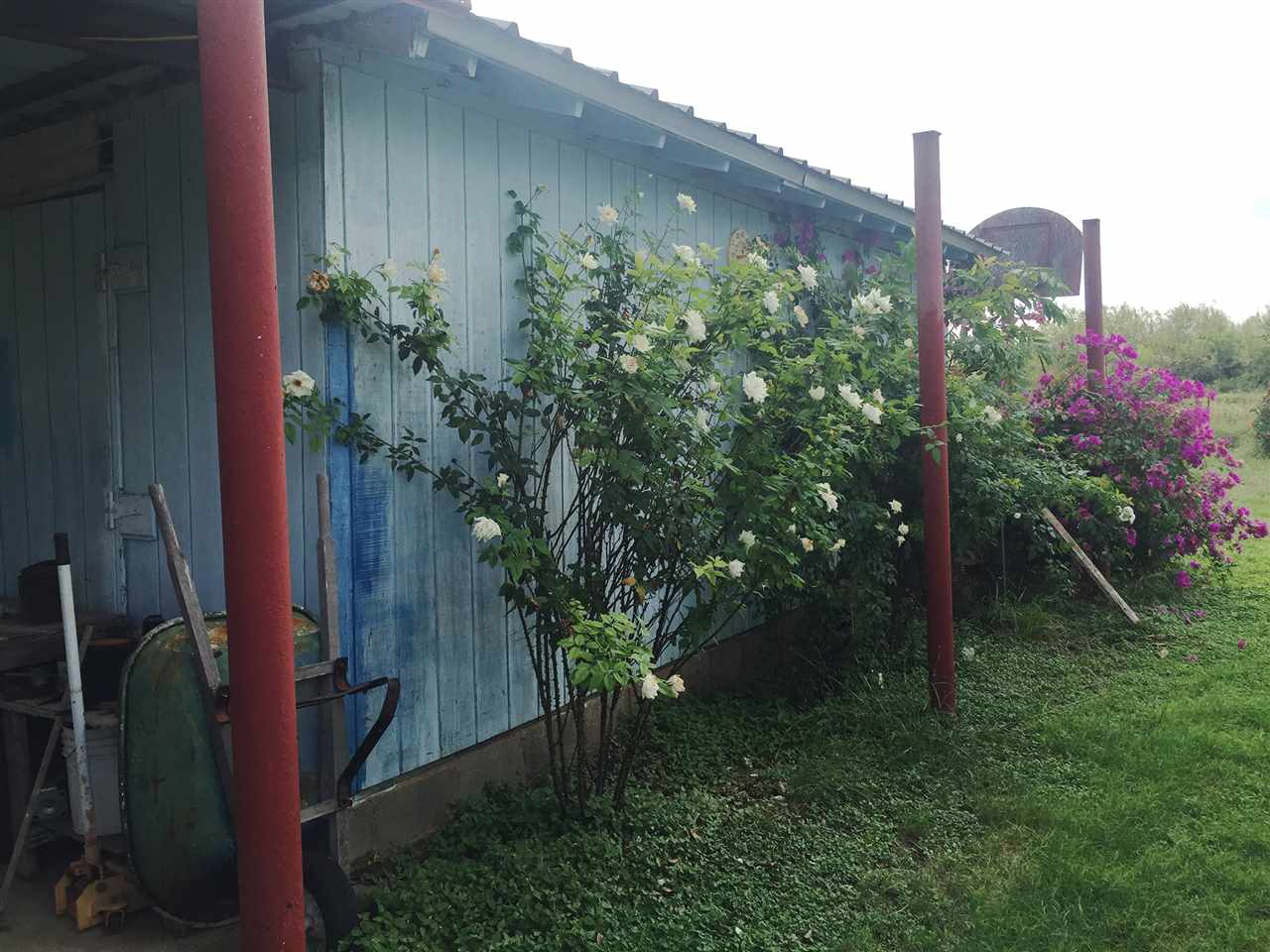 379 Well Lane Laredo, TX 78045 - Photo 18 of 20 a view of a back yard