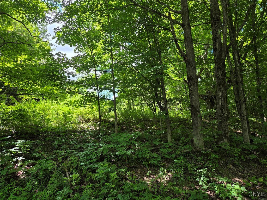 Houseville Gulf Road Lowville, NY 13367 - Photo 1 of 1 Gallery Image 1