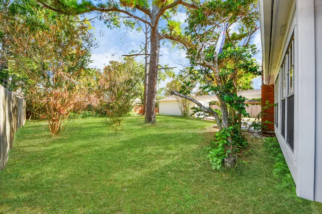 a view of a backyard with plants and large tree