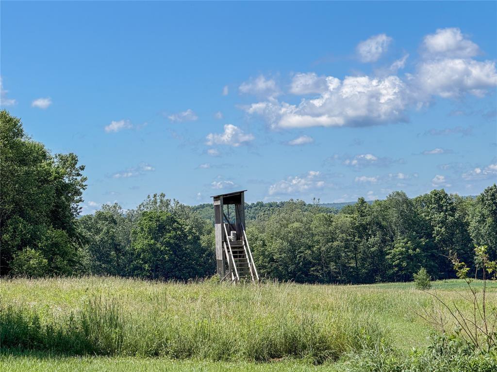 29677 Watson Road Cambridge Springs, PA 16403 - Photo 50 of 50