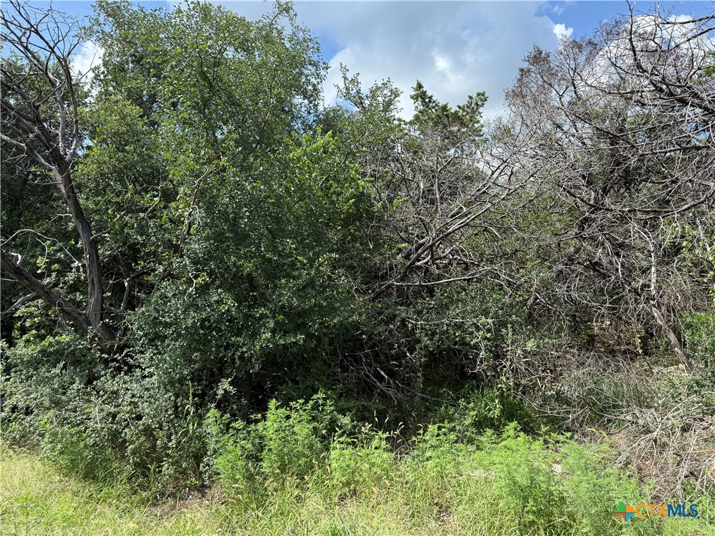 13328 Harbor Drive Temple, TX 76502 - Photo 2 of 3