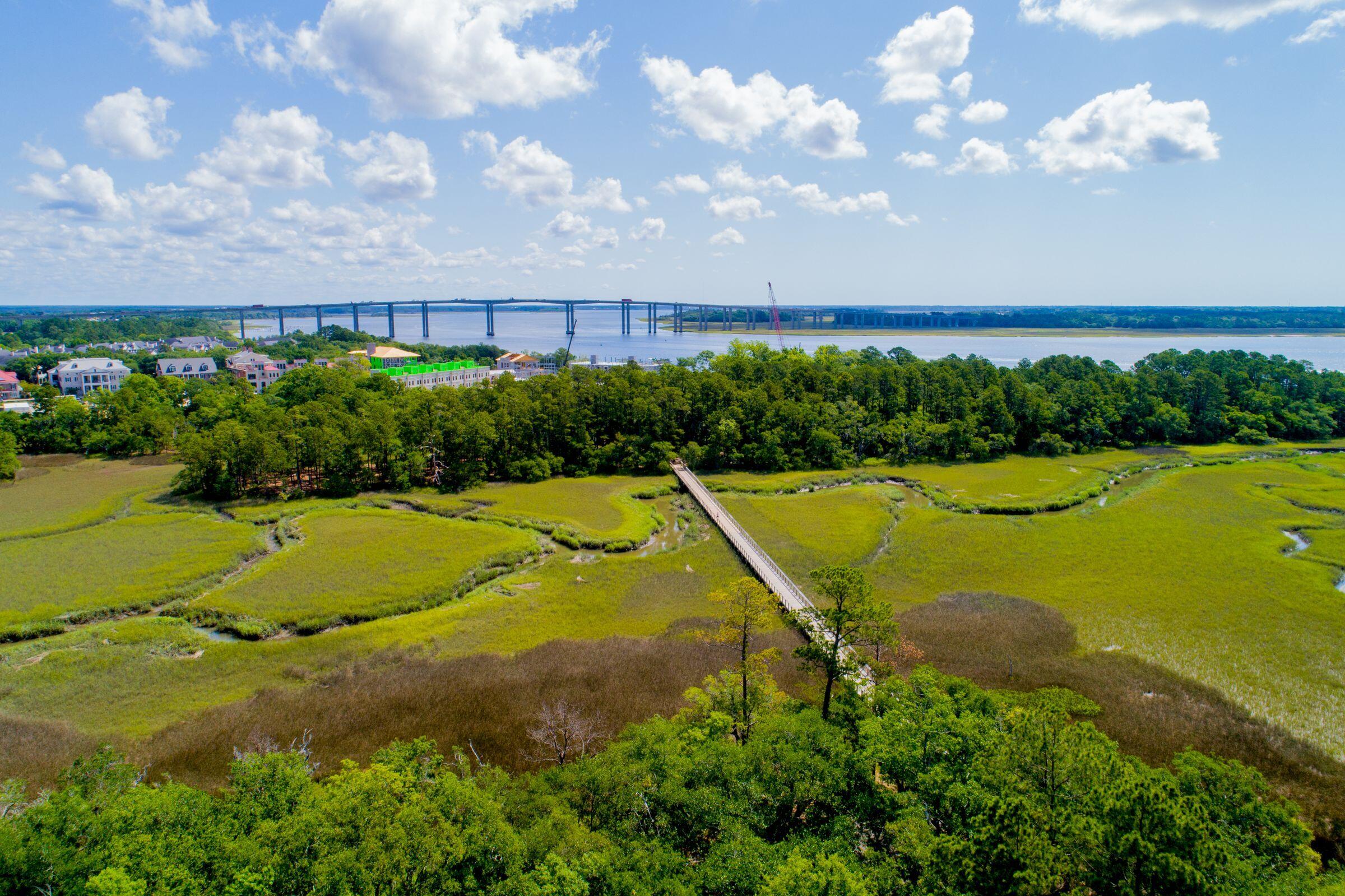 1407 Wando View Street Daniel Island, SC 29492 - Photo 67 of 73 67
