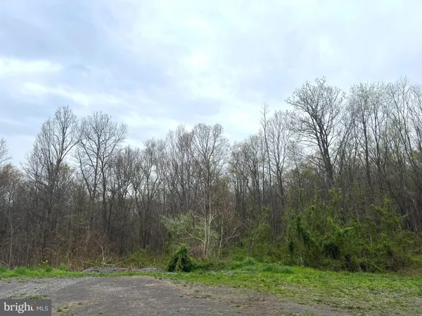 a view of a yard with a tree in the background
