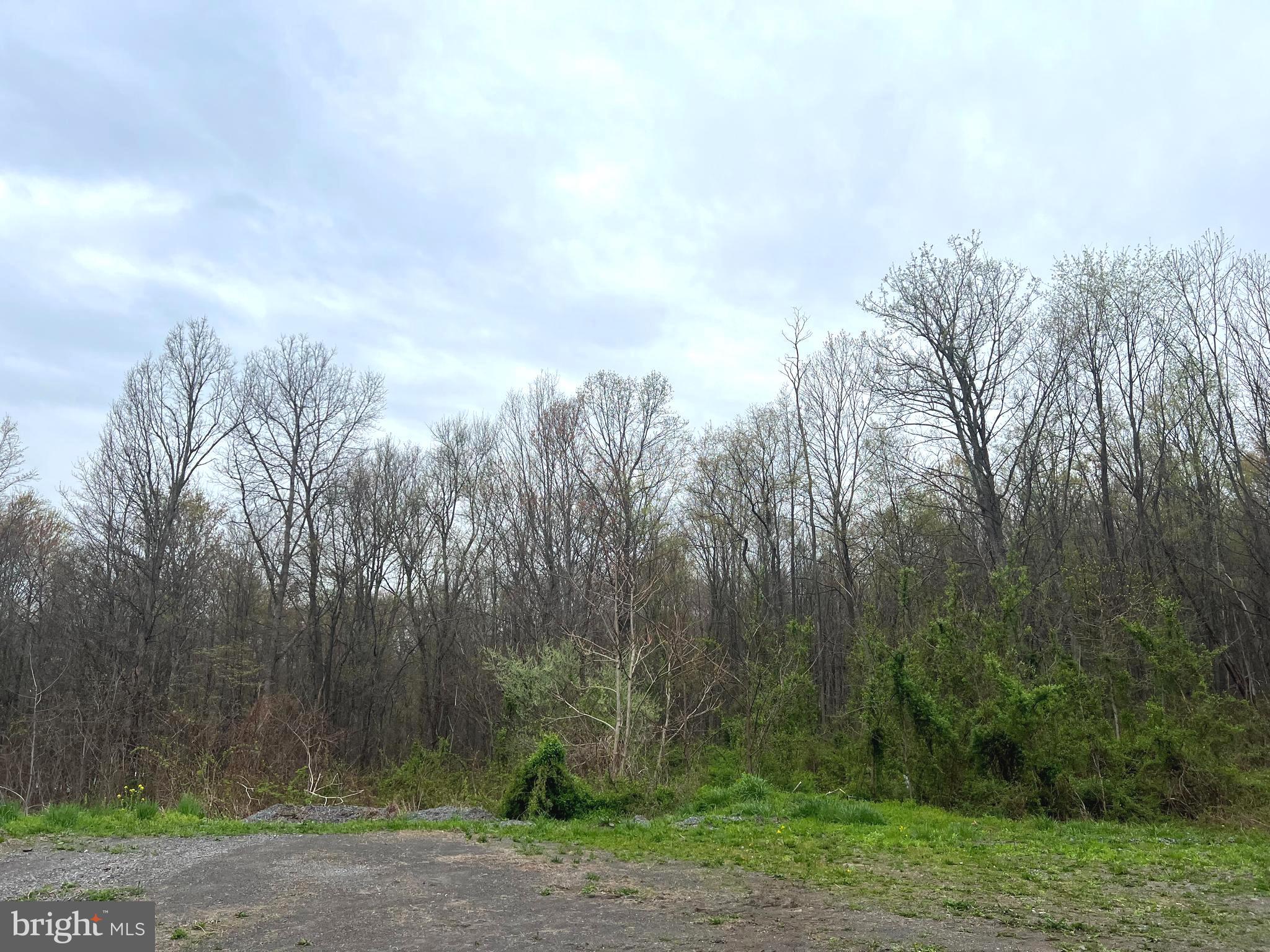 Lot #17 Ridge Way Drive Bedford, PA 15522 - Photo 2 of 7