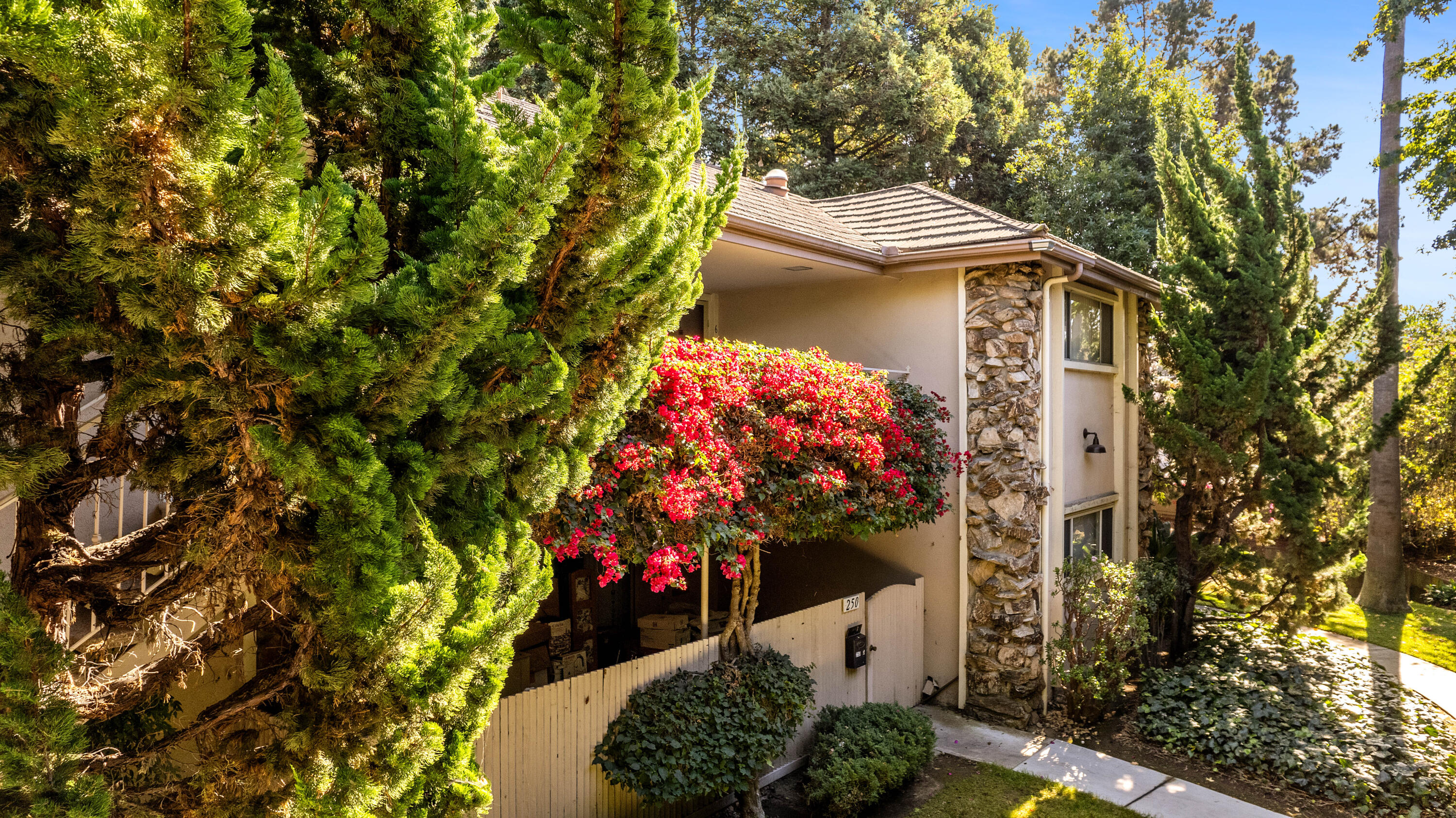 250 North Fairview Ave Unit 6