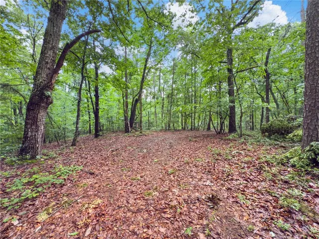 a view of outdoor space and trees