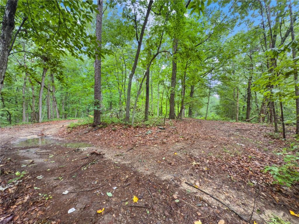 1 Cooper Bridge Road Gainesville, GA 30507 - Photo 12 of 19