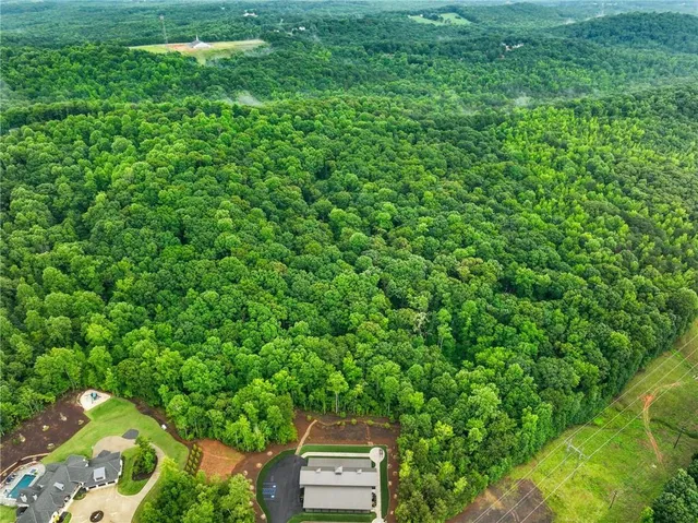 a view of a garden with a tree