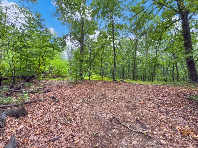 a view of outdoor space and yard