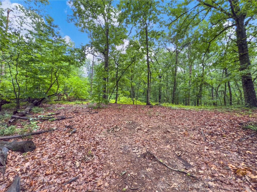 1 Cooper Bridge Road Gainesville, GA 30507 - Photo 5 of 19