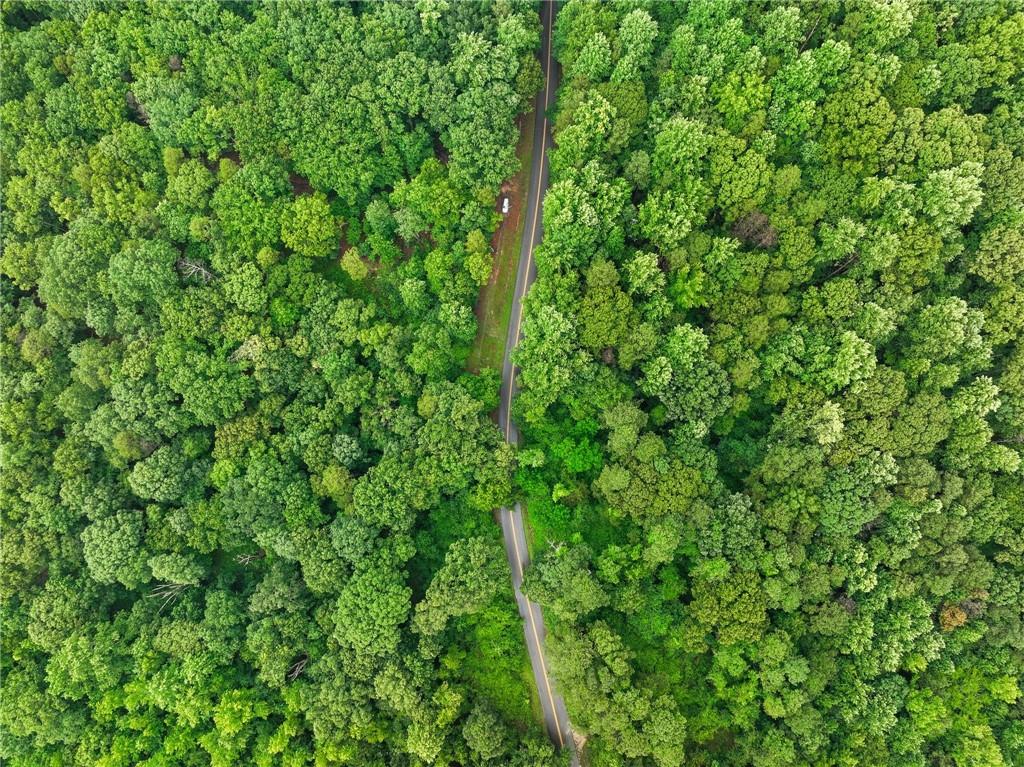 1 Cooper Bridge Road Gainesville, GA 30507 - Photo 8 of 19